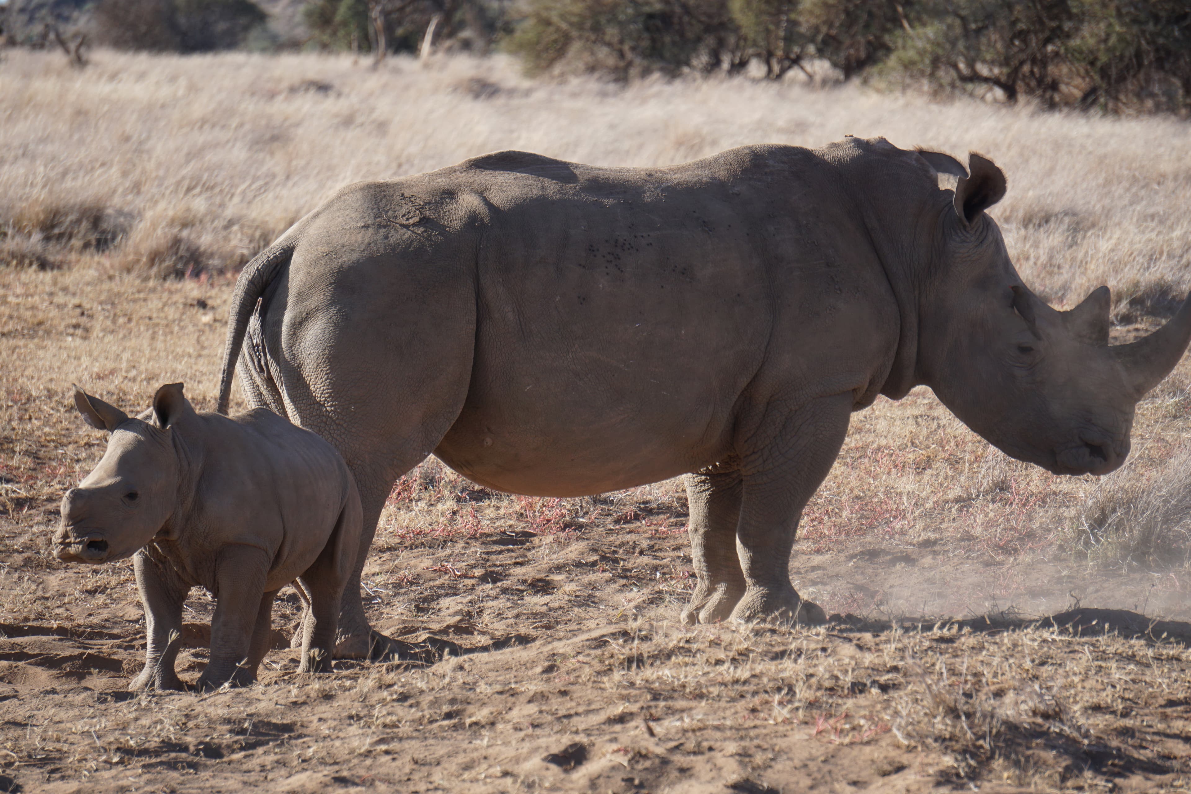 Northern Kenya wilderness — gallery image 10