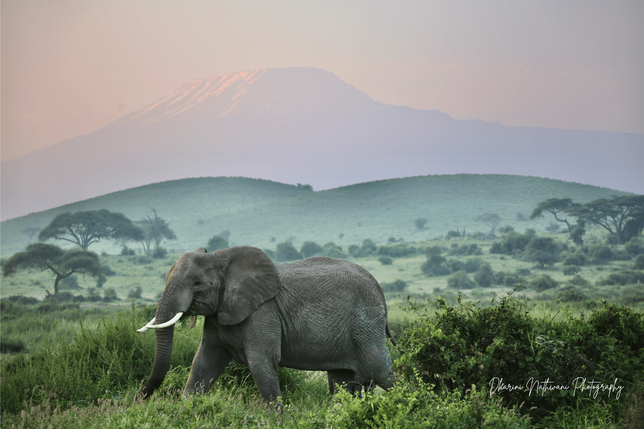 Wild Camping in northern Kenya